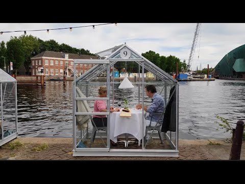 Greenhouses: The coronavirus-proof dining concept of "Mediamatic Eten"