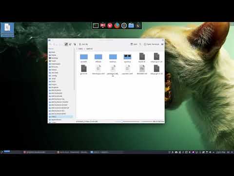 ArcoLinux : 1277 comparing Arch Linux 2020.1.1 with Carli 3