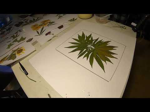 "Dress Code" WIP GoPro Hero 7 Black.1