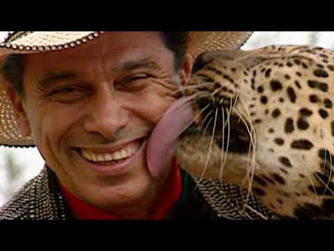 29 anos de Beto Carrero World!