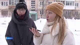 В Ижевске зоозащитники призывают не закрывать продухи в подвалах домов