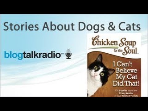 Pets - 101 Stories about of our Dogs vesves Cats