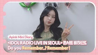 (SUB) Apink Mini Diary - IDOL RADIO LIVE IN SEOUL 콘서트 비하인드 Do you Remember..? Remember!