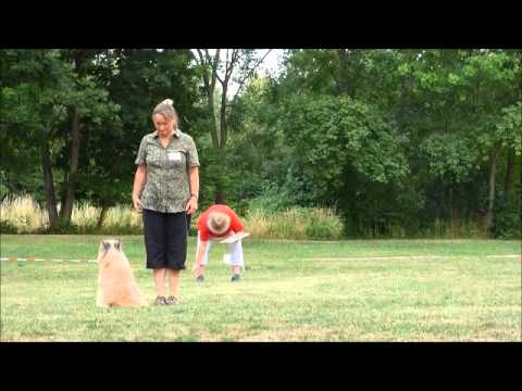 Kerstin mit Karou Obedience Klasse 2 18.07.2015