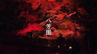Tokyo Red Garden - Happo-En video preview