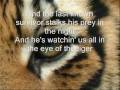 Eye Of The Tiger Survival Rocky+lycris 