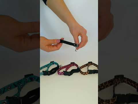 Нашийник для Котів Безпечний BronzeDog Urban Черепа Нейлоновий на Резинці з Дзвіночком Червоний