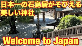 【愛媛県】【🇯🇵⛩️日本一の石の大鳥居のある美しい宇和島・和霊神社参拝 ⛩️🇯🇵 】Huge Torii Gate! Warei Shrine Tour in Uwajima