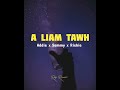 Addie boy x Sammy x Richie fanai - A Liam tawh (unofficial lyrics video)