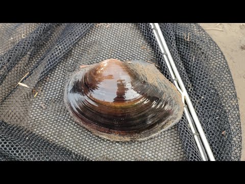 若手の様子を見に、熊本県まで行ってきました