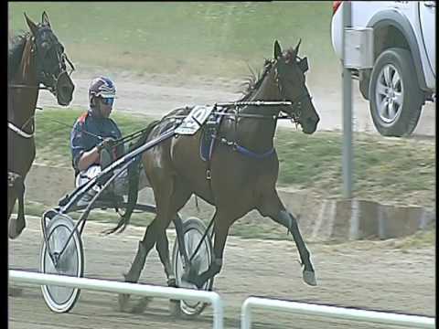 Trotto 10/06/2017 - 1ª corsa