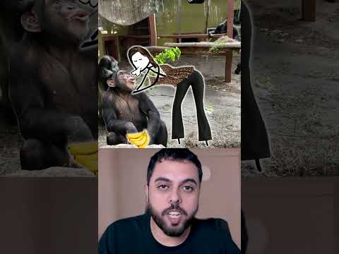 ويلي ويلي شنو دارت 😱😂🔥
