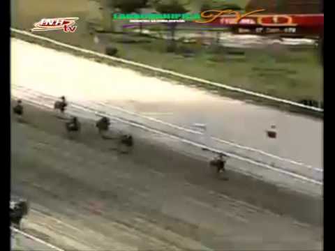 LA RINCONADA 1 CARRERA, SABADO 07 DE MARZO DEL 2015