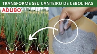 MELHOR ADUBO ORGÂNICO PARA CEBOLINHAS CRESCEREM E SE DESENVOLVEREM RÁPIDO- 010