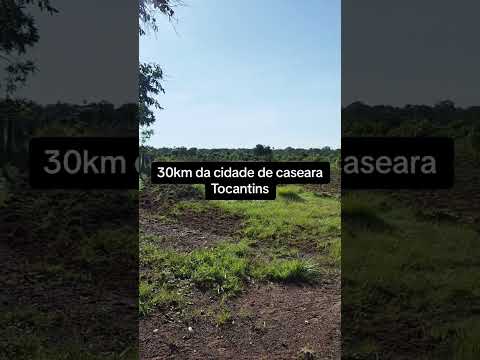 Chácara 48 hectares município de Caseara Tocantins