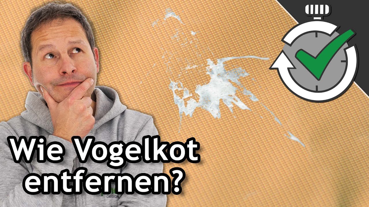 Vogelkot von Sonnensegel und Markise richtig entfernen sonnensegel