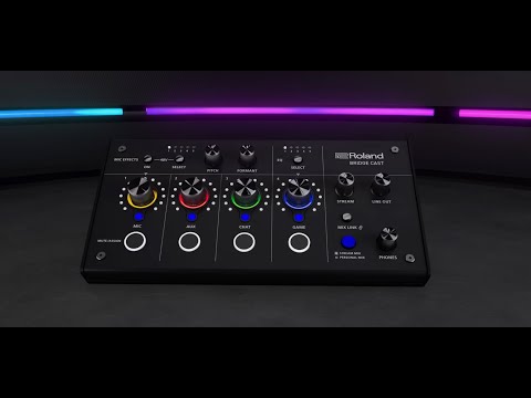 Roland Bridge Cast X für Amazona.de