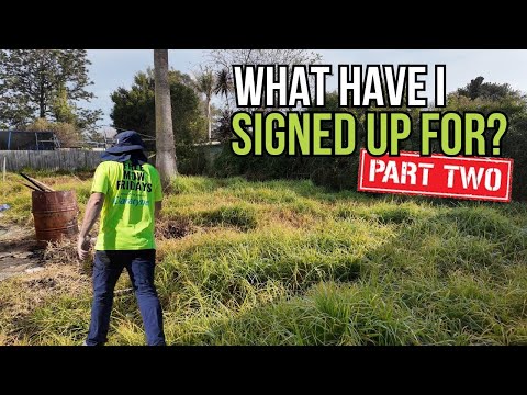 Bereue ich es, diese große Aufräumaktion in Angriff genommen zu haben? #befriedigend