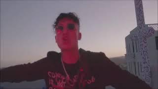 Alemán - Perro Callejero.? 😎