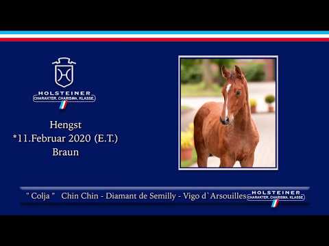 Holsteiner Online-Fohlenauktion 2020 - Colija