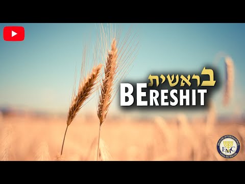 📜 Curiosidades de la parashah - BERESHIT #1