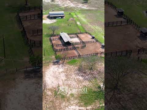 Fazenda à venda em Santo Antônio do Leste – MT