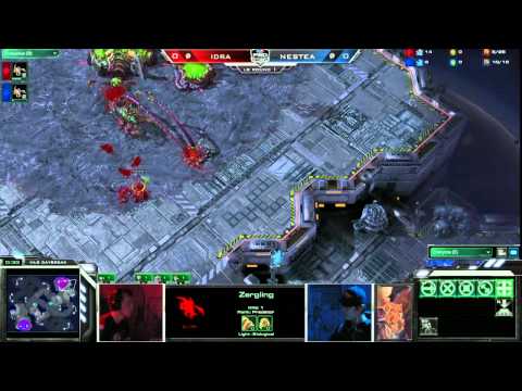 Winter Arena Highlights - Day 2 - Idra vs Nestea