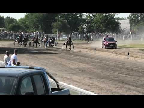 Trka "Farma Mačković-Ljutovo" 27.07.2019 Justice Oaks - Miroslav Radulaški