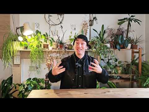 Part 2 - ジャズとリンディホップのトレーニング - ジャズの詳細 (Part 2 - Training Jazz & Lindy Hop - Jazz in detail)