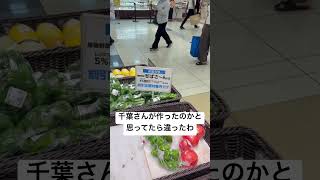 ぢばさ〜んって千葉さんが作ったのかと思ってた #movie #music #shortvideo #shorts #日常 #雑学 #面白い #音楽 #楽しい #田舎暮らし