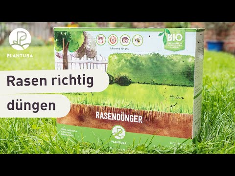 Rasen richtig düngen: Unsere Experten-Tipps (Anleitung)