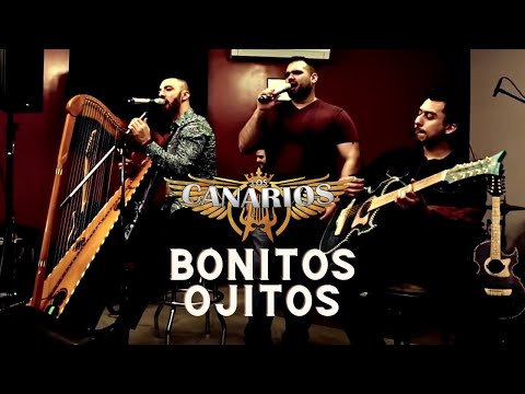 Los Canarios - Bonitos Ojitos (Sesiones En Vivo con Tololoche)