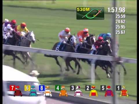 [Standard Chartered Champions & Chater Cup 2014] BLAZING SPEED wins Champions & Chater Cup 2014