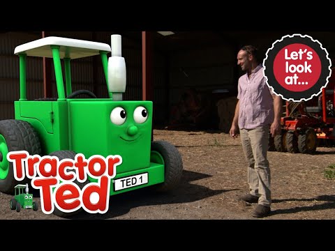 Let's Look at Tractors 🚜 | NEW Tractor Ted | Tractor Ted Official Channel