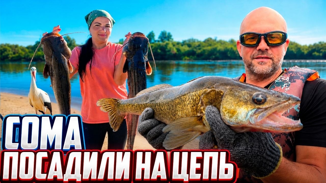 Таинственное исчезновение на Припяти. Жили в палатках, ловили сомов и судако