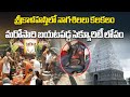 Srikalahasti Temple Security Breach A Devotee Sneak In Unauthorized Stone Serpent Idols