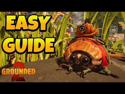 How to Get Ladybug Buggy in Grounded 2 Update