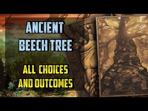 Ancient Beech Tree All choices - Thronebreaker the Witcher Tales - (Wayfarer Beech)