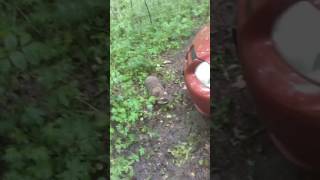 Glamping Invader pt 1