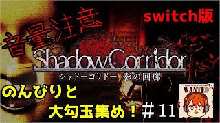 【ライブ配信】※絶叫注意※　のんびりと大勾玉集め【switch版　シャドーコリドー　影の回廊】