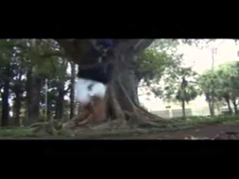 Gustavo HenriKe  -Power of the Music- GuuHenriKe [FREE STEP/2013}