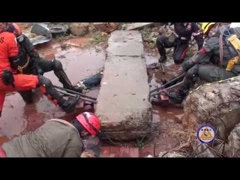 29º BREC - Nível Básico