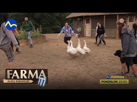 Farma 14 - ZAČÍNAME v predstihu na Voyo a od pondelka 5. 9. 2022 o 22:00 na TV Markíza