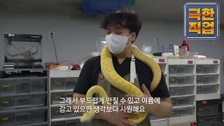유튜브 썸네일