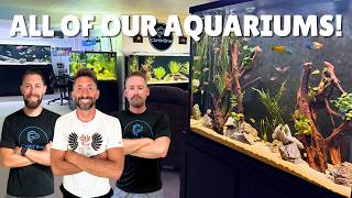 All of Our Aquariums & Fish! 4,500+ Gallons, 31 Tanks, & Tons of Cichlids! | Full Fish Room Tour