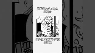 王直の雑学 #ワンピース #onepiece