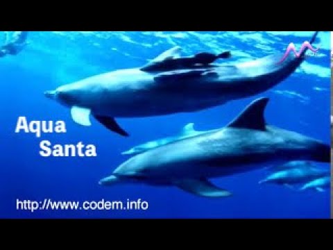 「Aqua Santa」