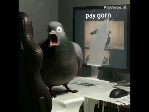 DR PIGEON GOON 🤤😍 #pigeon #doctor #goon