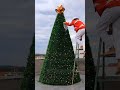 DIY giant outdoor Christmas tree