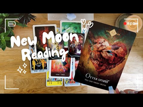🔥🌱🌙 NEW MOON MAY 7/8th 2024🌙🌱🔥Timeless PICK A CARD Intuitive Tarot Reading